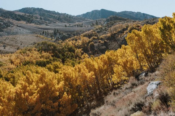 27E3A21E-988E-4590-9907-B102EC26084C