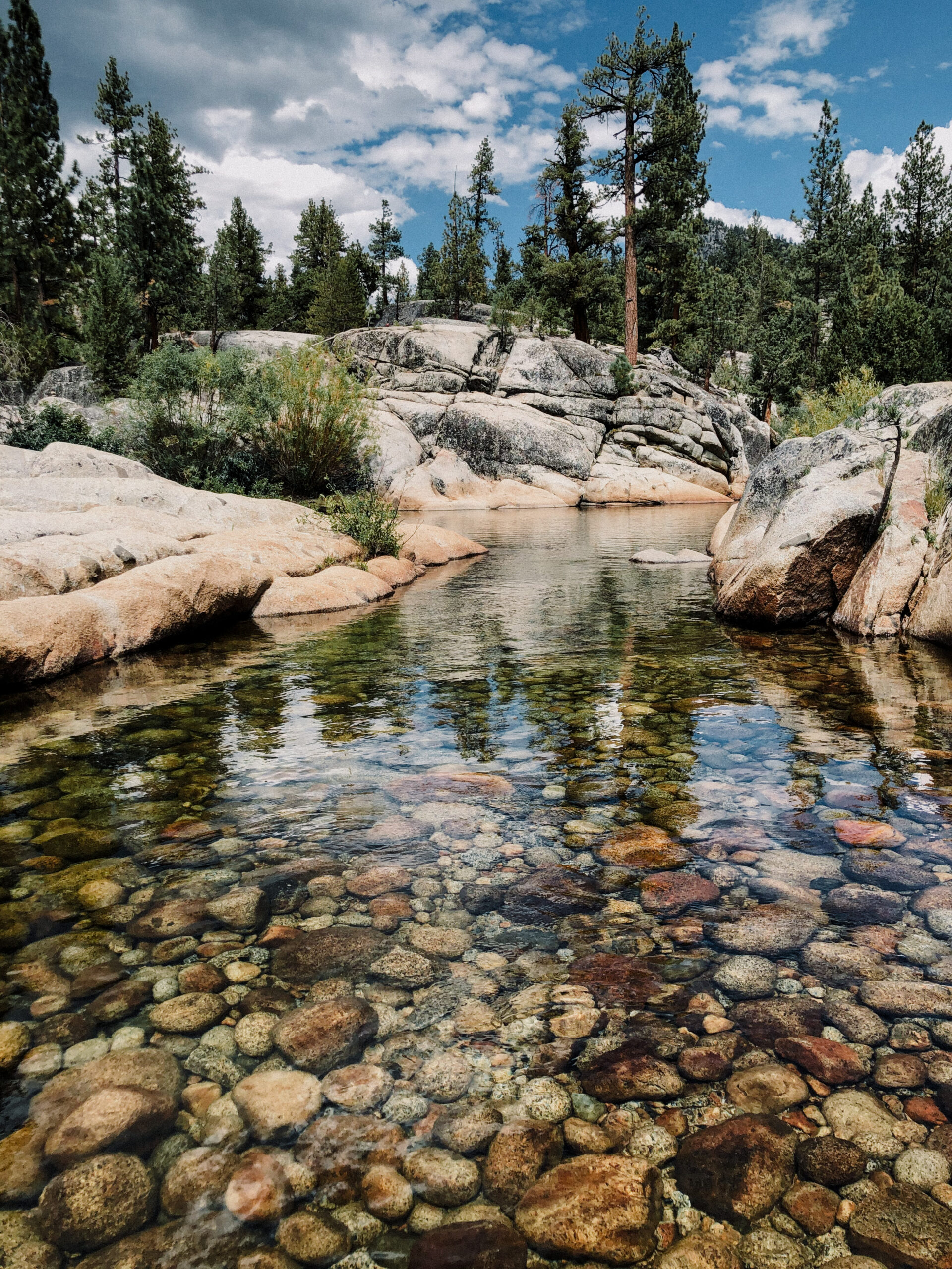 9808EF30-0749-4E38-B177-5FCAB1539E07