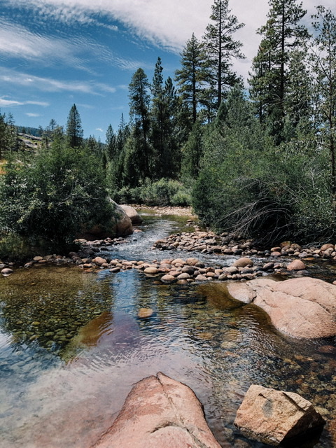 16D4270C-5700-4ED7-B731-3D8BA094C04E