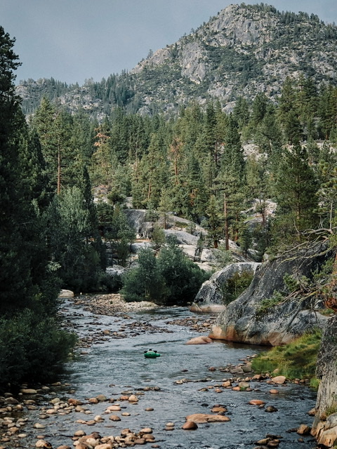 C69A15D3-0A8D-4F85-B0B5-2CB89D5AD17A