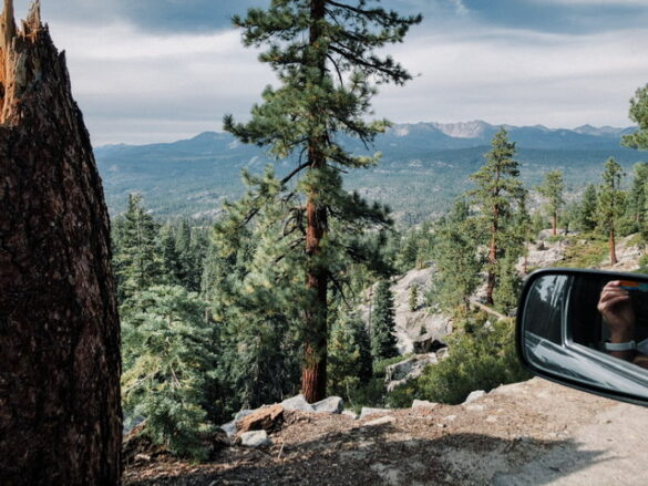 EE630BCA-E4DF-4101-87AA-BEC859832CEA